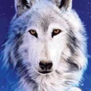 Meet your Posher, Laurie